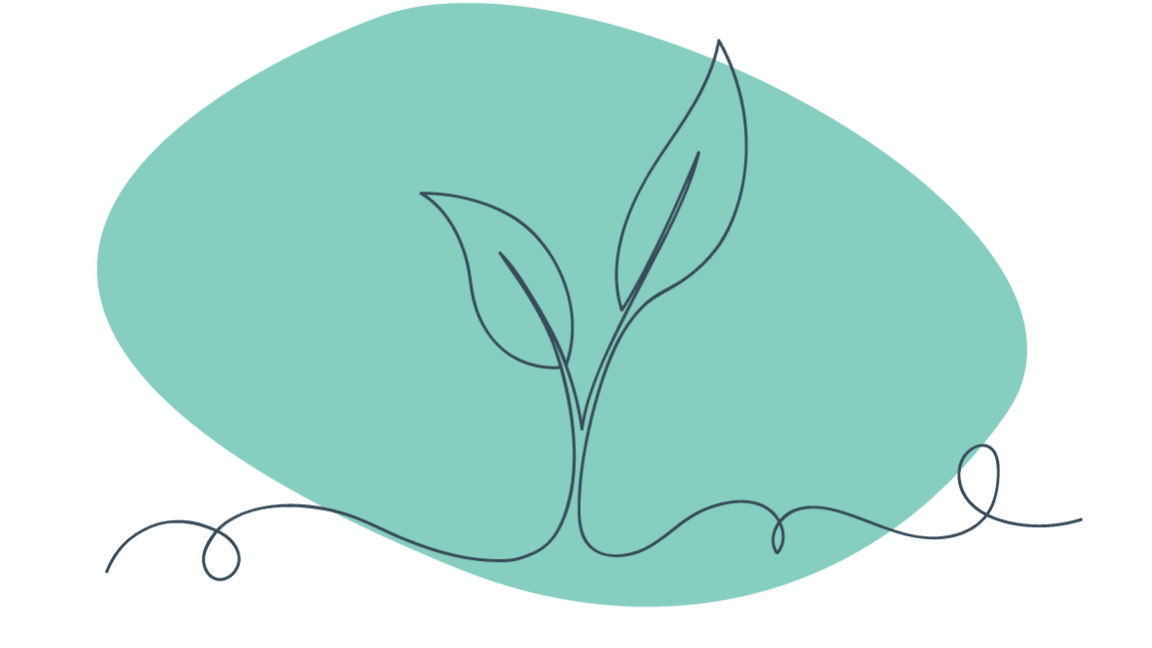 Line drawing of plant leaves on a green background