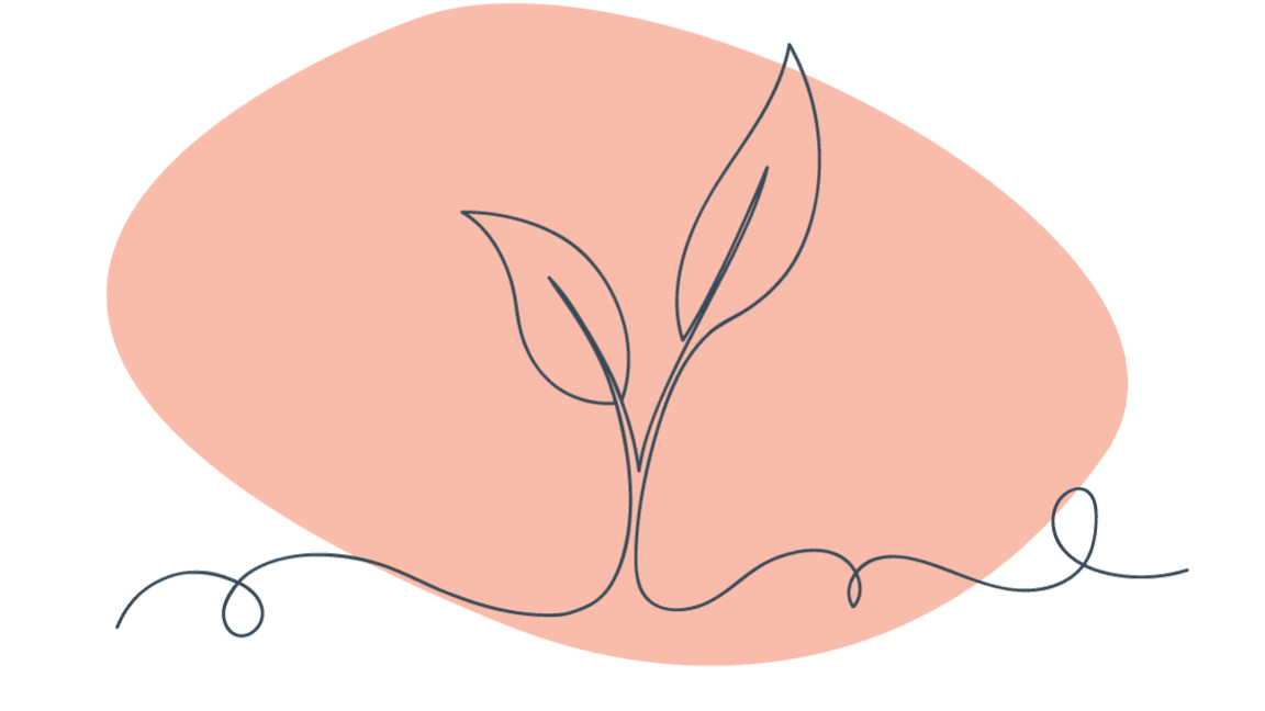 Line drawing of plant leaves on a soft orange background