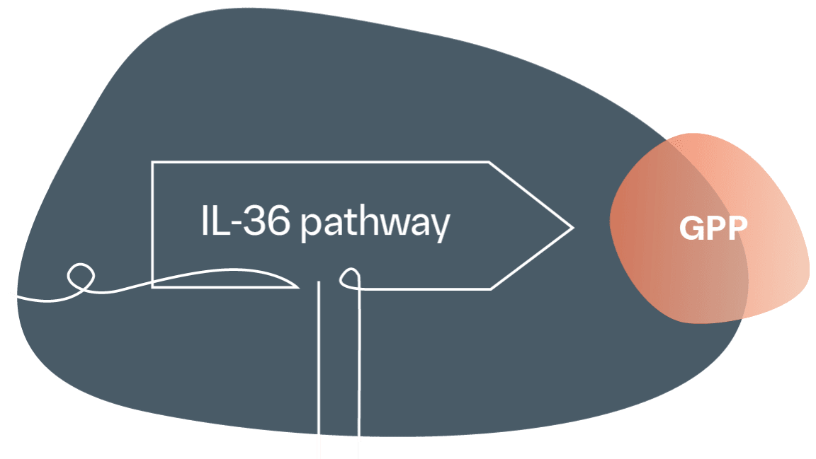 GPP linked to the IL-36 pathway
