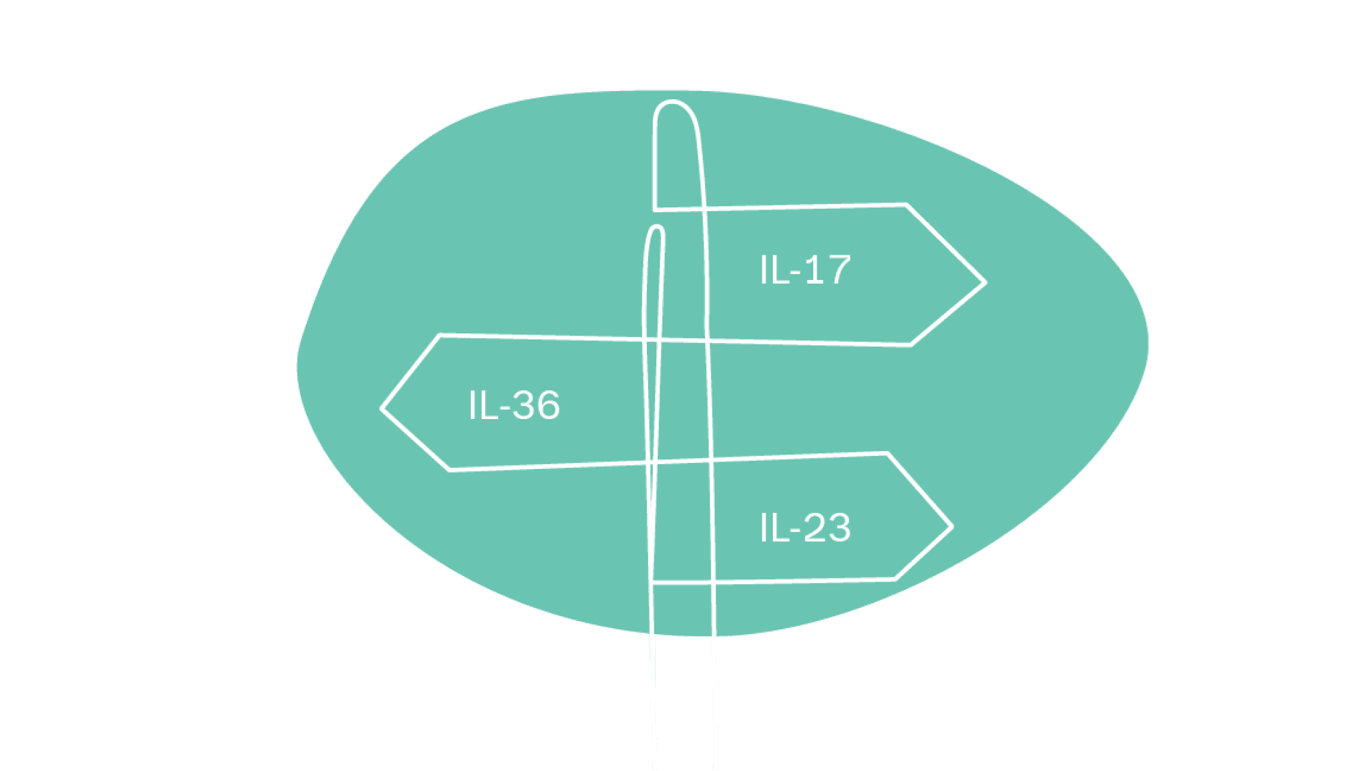 Signpost illustration showing IL-36, IL-17, and IL-23 pathways for different types of psoriasis