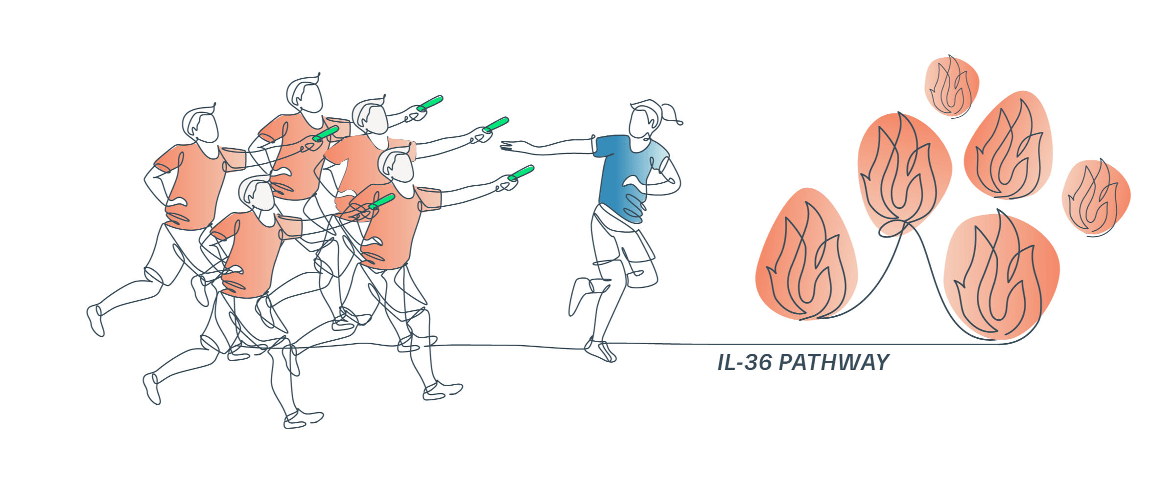 Illustration showing overreaction of immune cells in the IL-36 pathway leading to inflammation in GPP