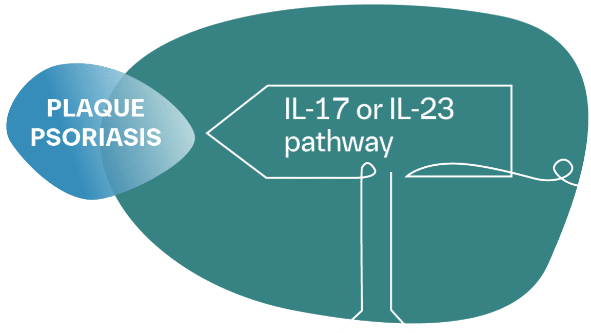 Plaque psoriasis linked to the IL-17 or IL-23 pathway